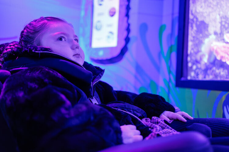 Epilepsy care